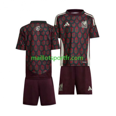 Maillot de Foot MexiqueEnfant Domicile  Copa America 2024